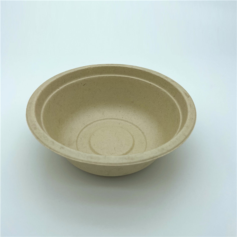 Biodegradable food container (2)